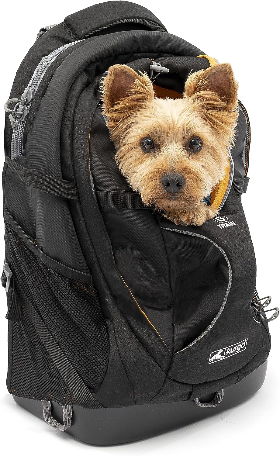 Backpack cat dog transporter Kurgo G-Train black up to 11,3kg waterproof