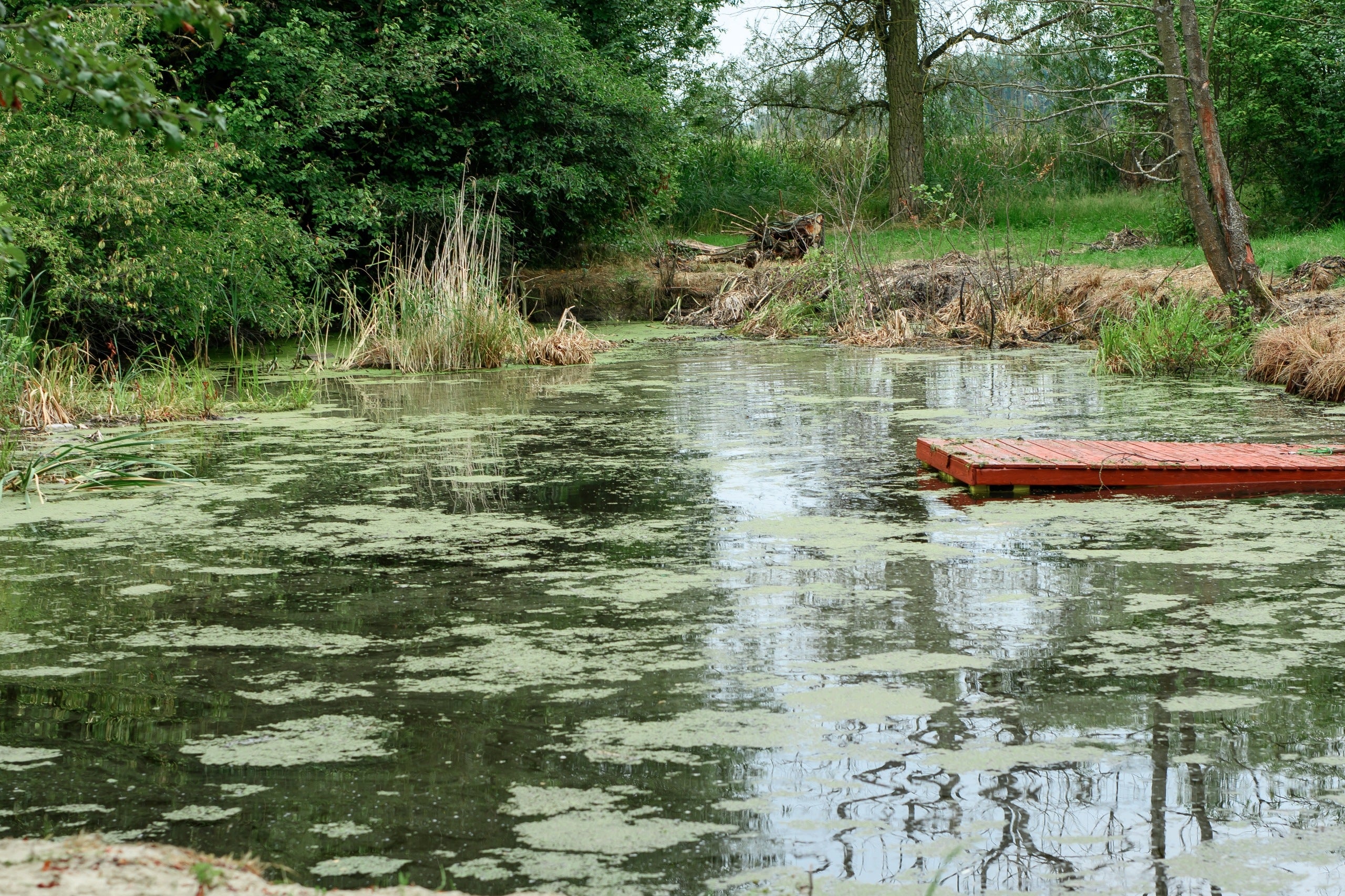 Bacteria, biopreparation for pond and pond for silt and algae, 30 tablets Packaging status original