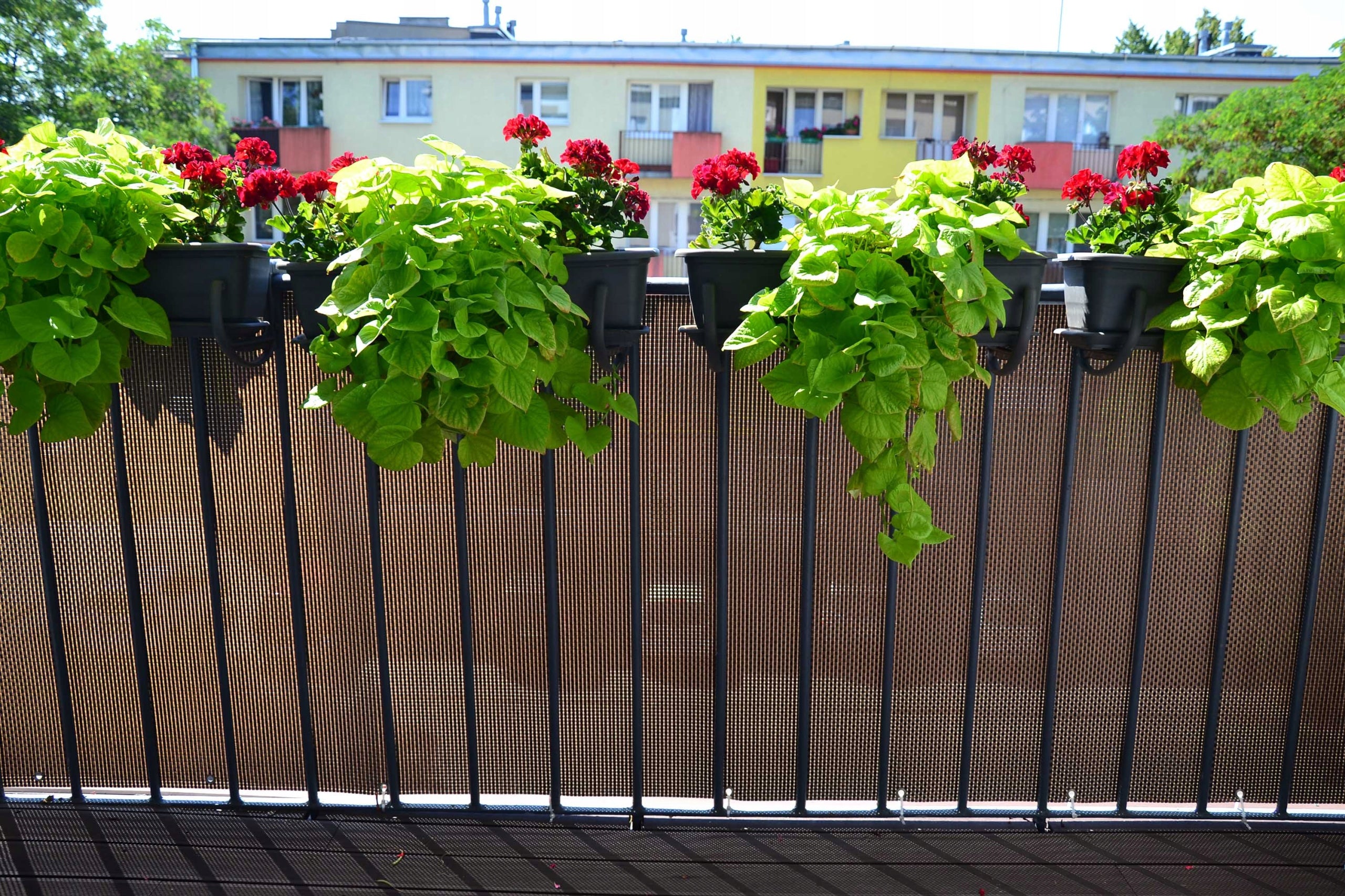 Balcony Mat for Balustrade Technoratan Cover BROWN LUX 1x5m Meshed Product width 100 cm