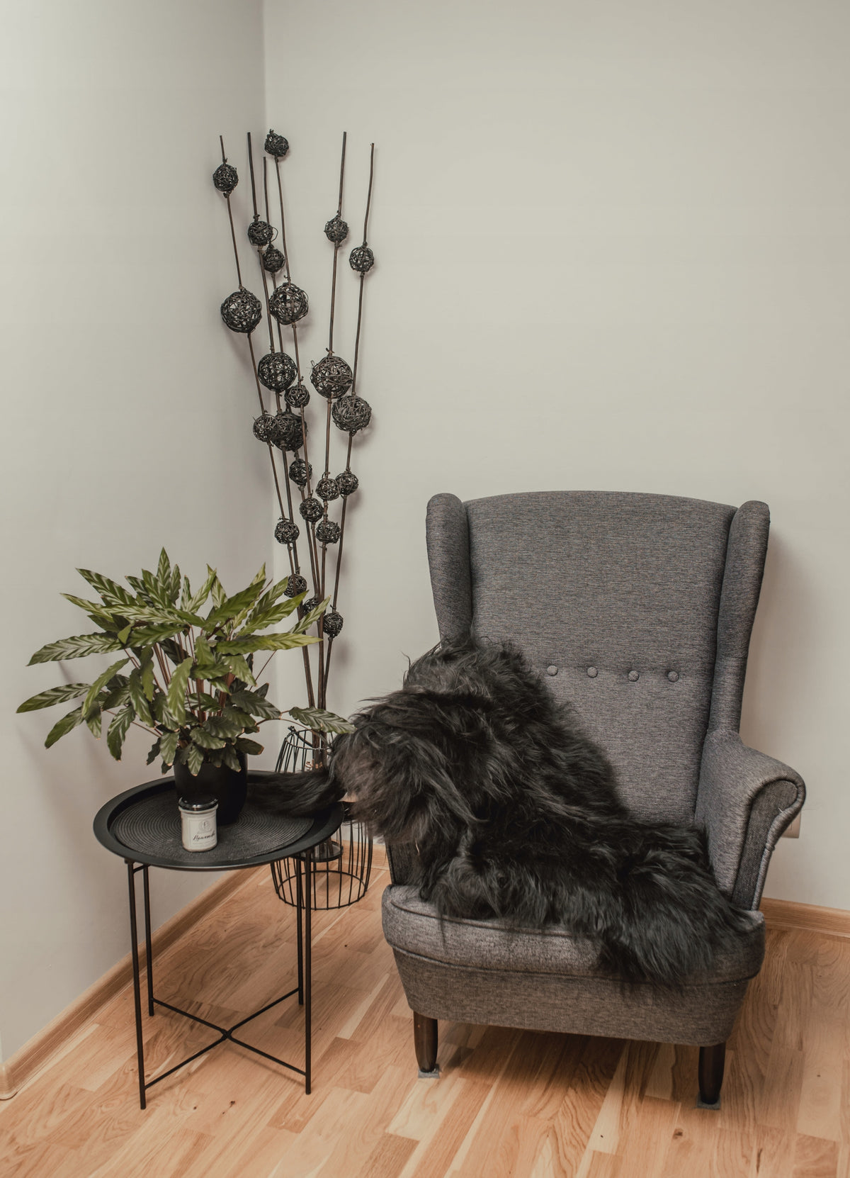 Barania Leather XXXL Black Sheepskin Black Long Hair Color multicolor