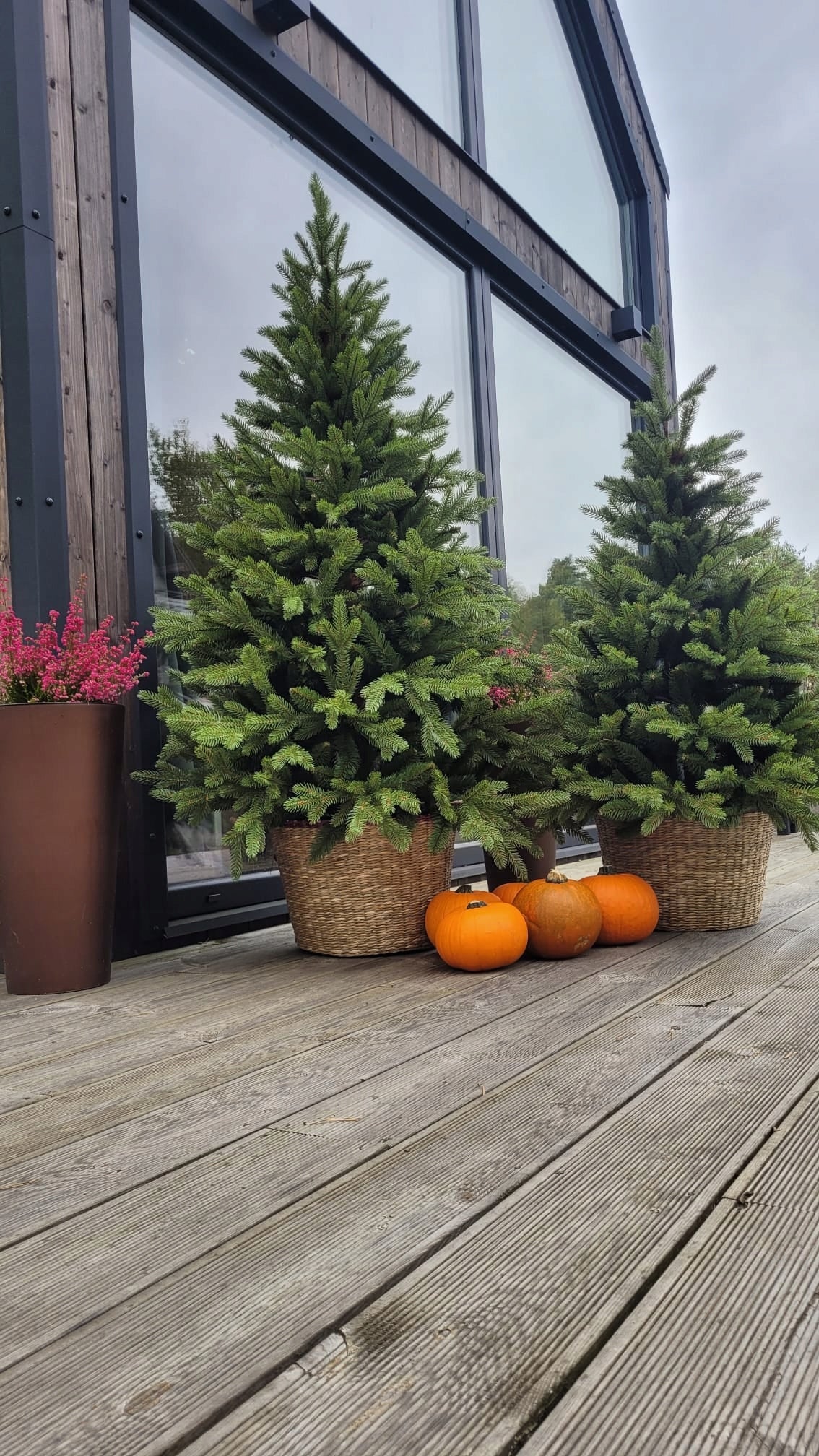 Beautiful Christmas tree artificial Caucasian spruce PE in a pot like a living 110 cm Manufacturer code SKD110