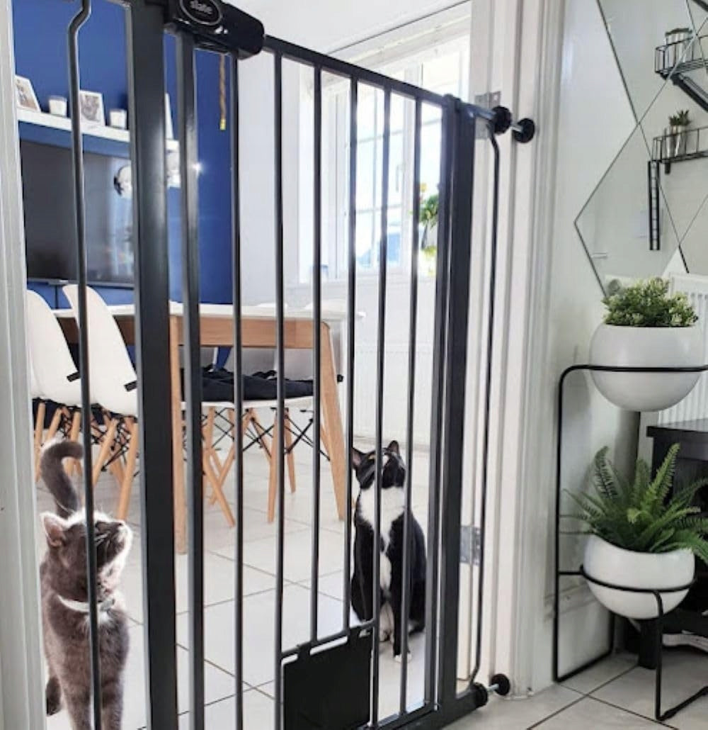 Bettacare High gate with lockable cat flap 75-84x104 cm BLACK Kind tension