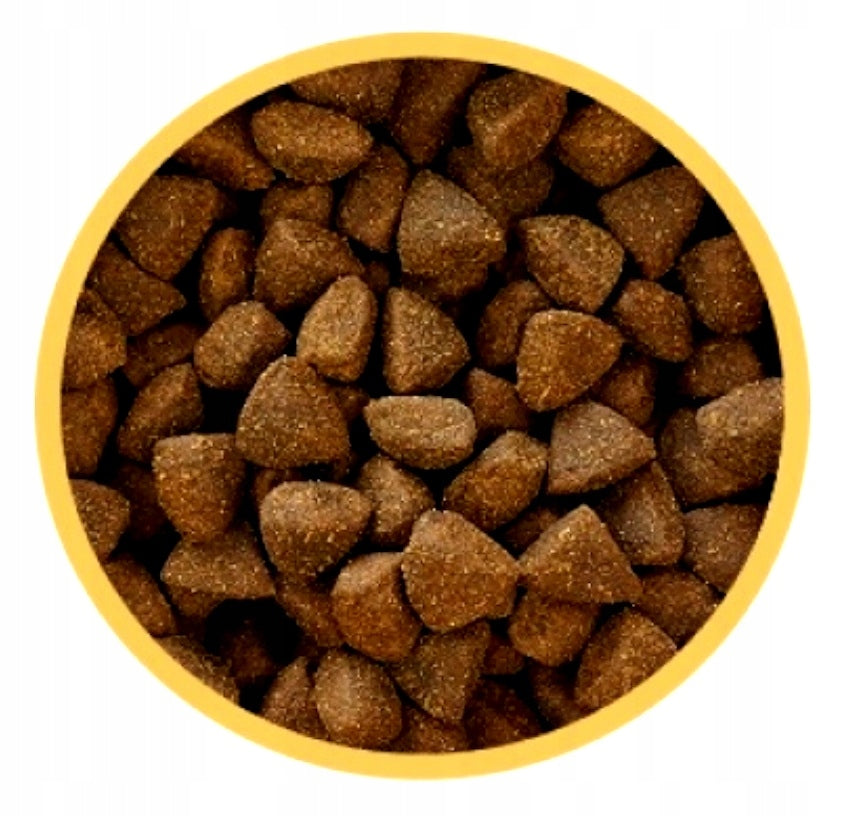 Biofeed Fresh 53% Meat Turkey Lamb 2 kg for Small Breed York Manufacturer code 5906744522097