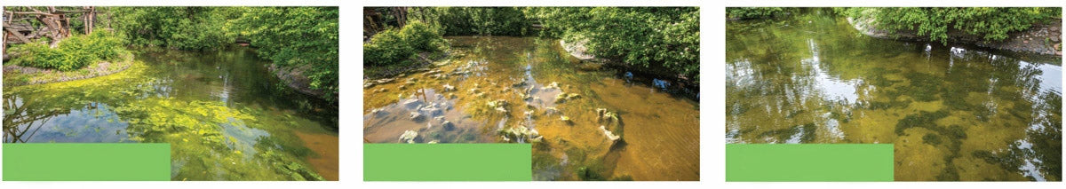 Biopreparation for purification of water reservoirs Remediant 1kg Bacteria eye Manufacturer code 5908280716824