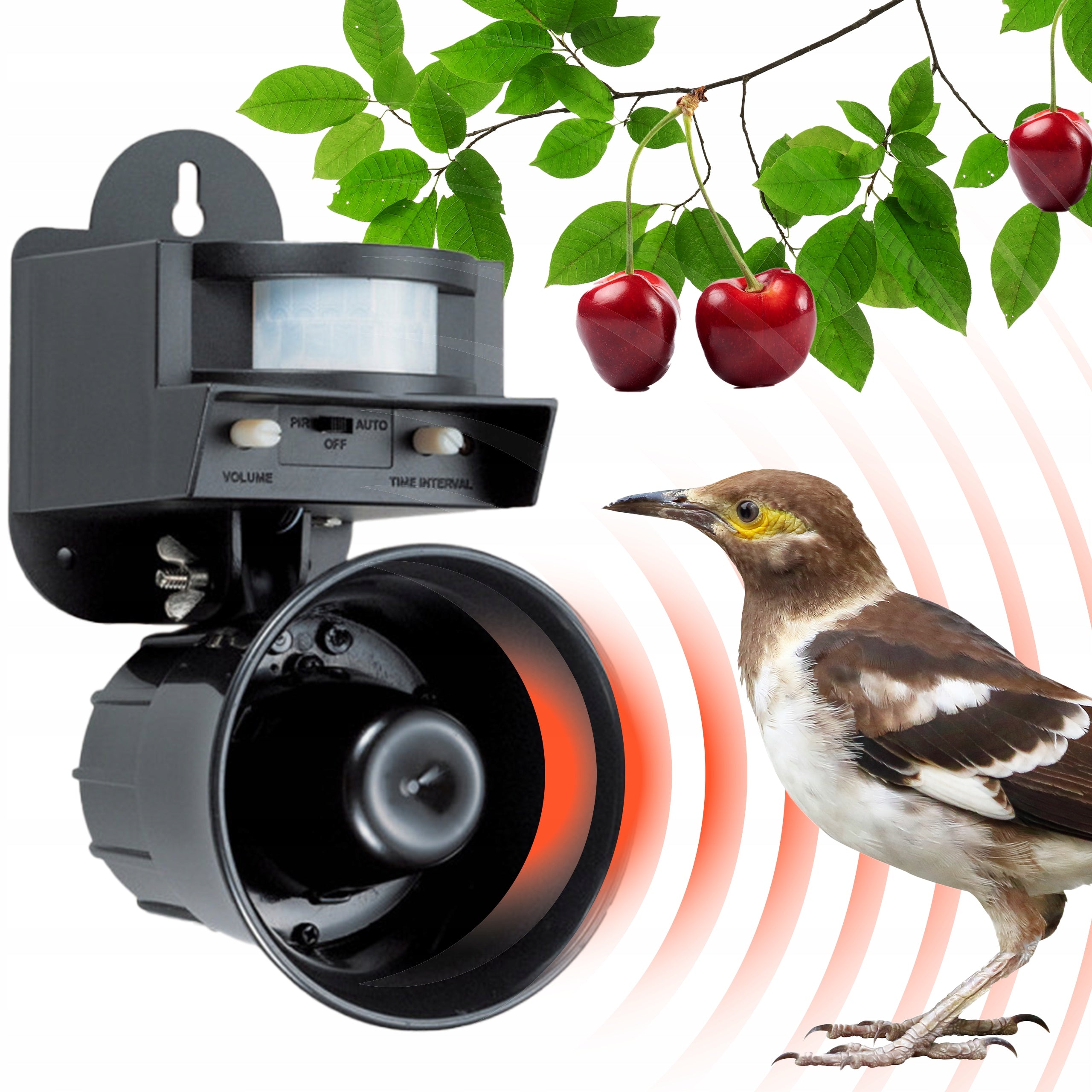 Bird repellent LS-2001 BIRDCHASER sound, starlings, sparrows, pigeons Kind repellent