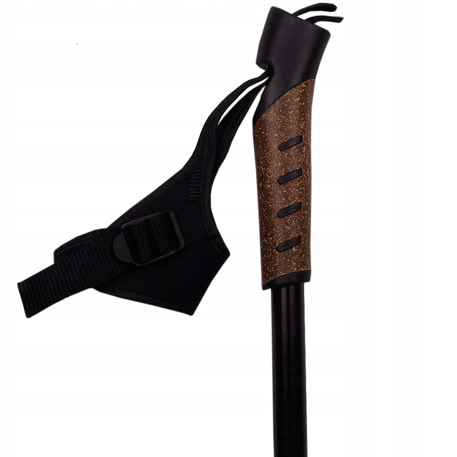 Bjorn Nordic walking trekking poles 2 poles Brand no brand
