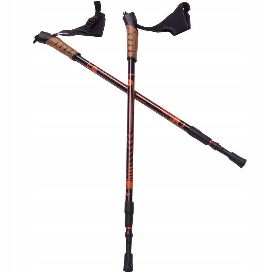 Bjorn Nordic walking trekking poles 2 poles