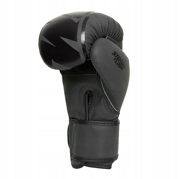 Boxing gloves StormCloud Bolt 2.0 black/black Weight of gloves 16 oz