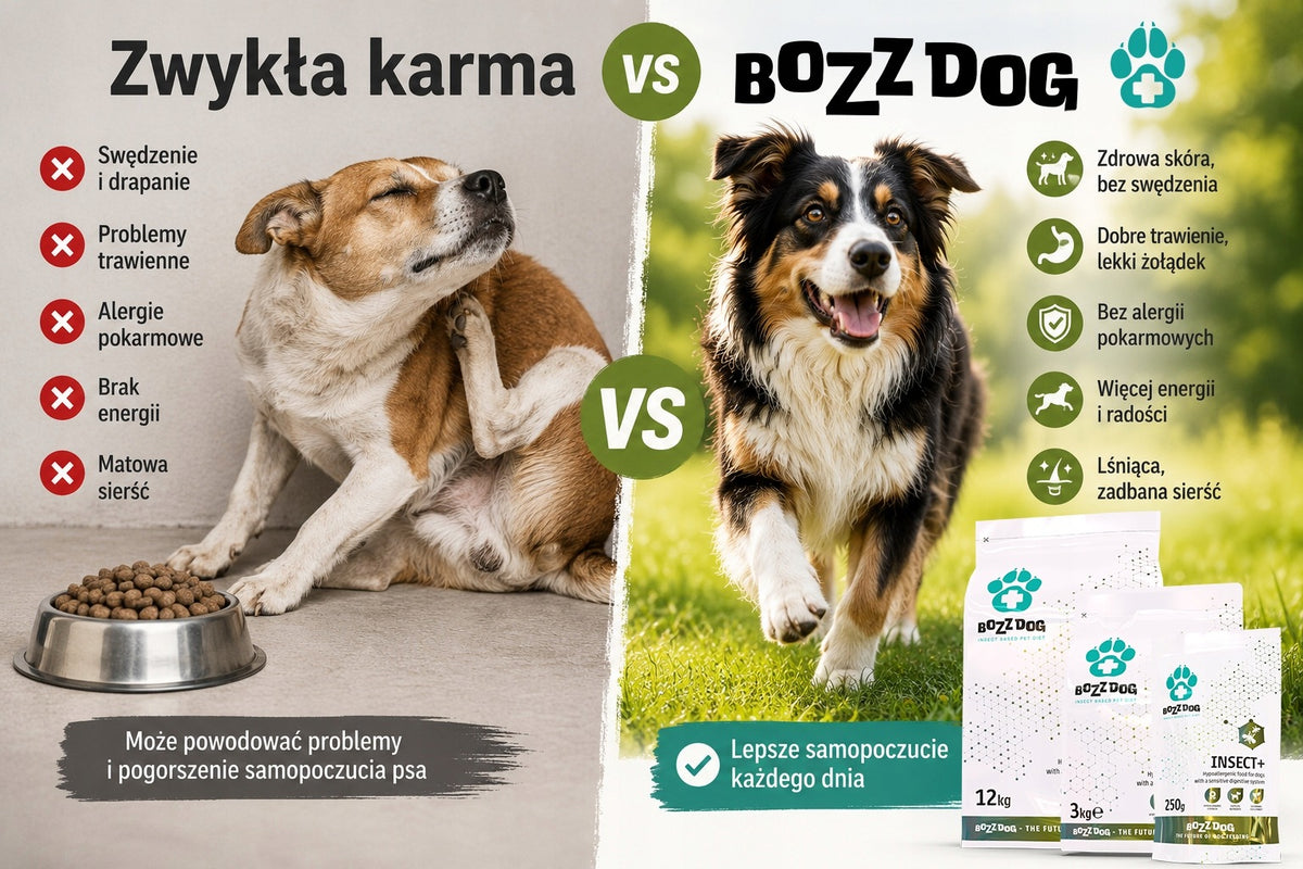 BozzDog Food 3 KG Hypoallergenic Insect+ Manufacturer code 590-94300