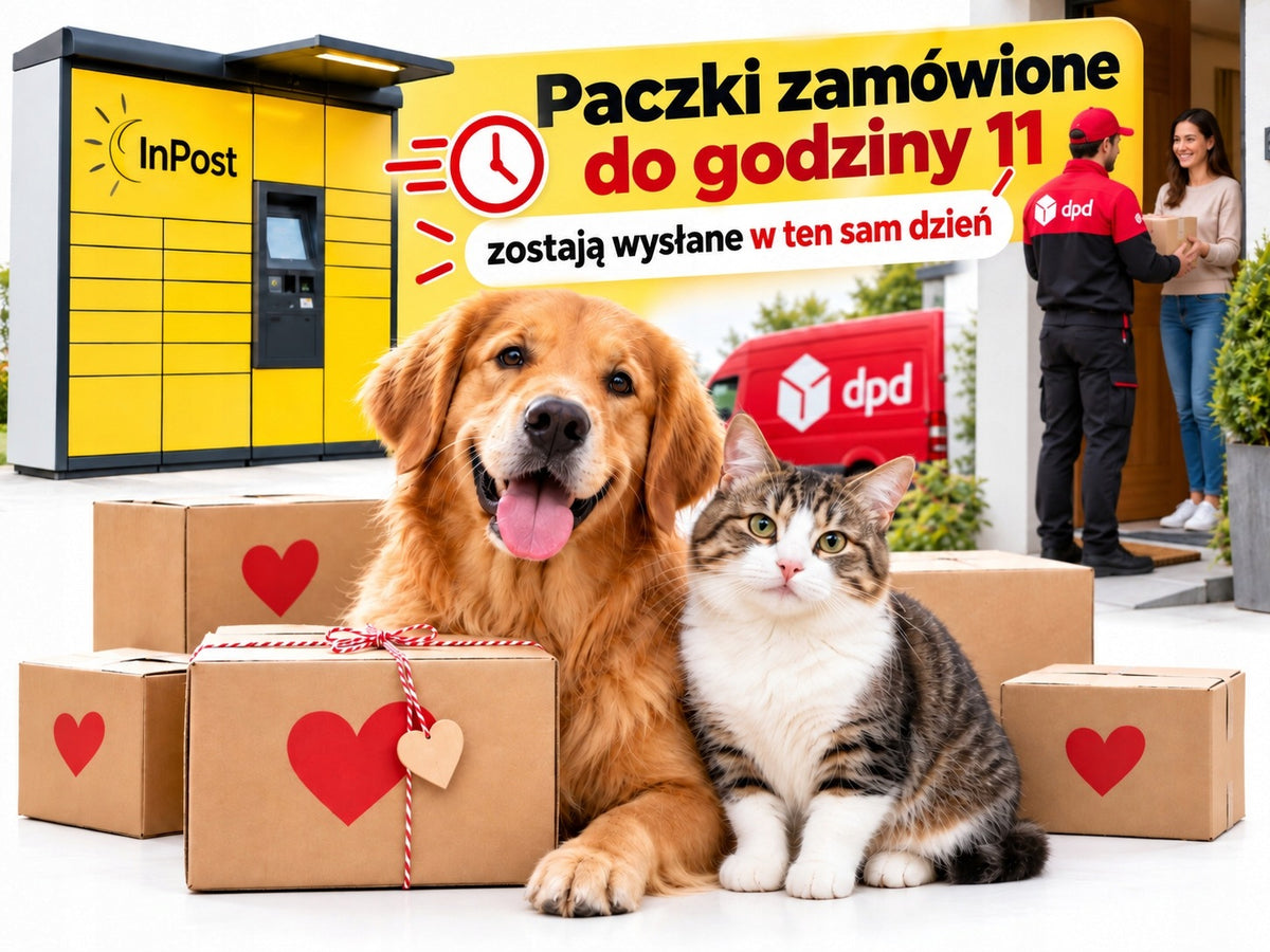 Brit GF Veterinary Diet Dog Obesity, Dry Dog Food with Overweight 12 kg Manufacturer code 8595602528066