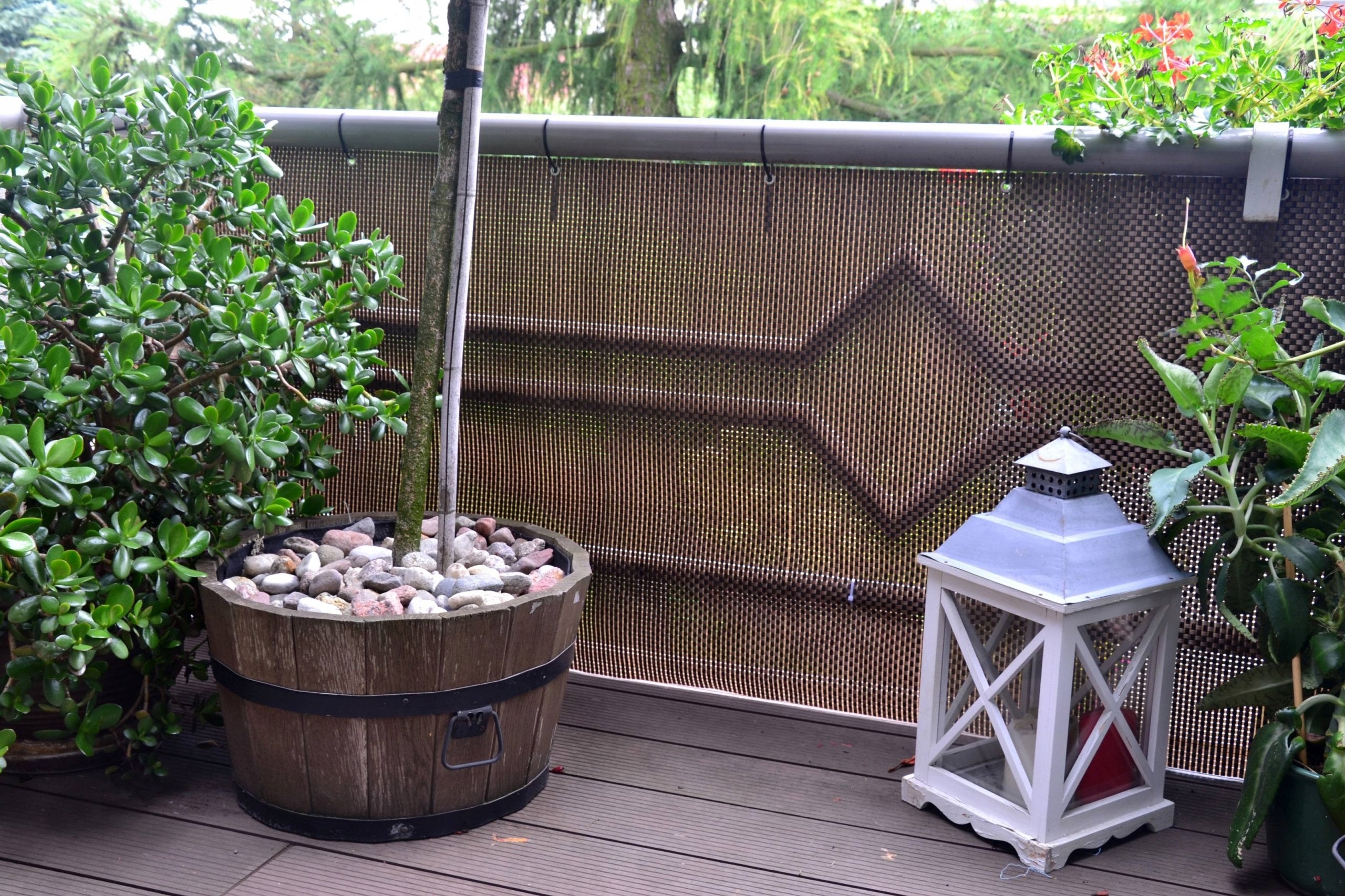 Bronze Rattan Cover Mat for Balcony Fence Gate Terrace Gazebo 1mb Manufacturer code Mata TR BRĄZ UMBRA 100cm na WYMIAR