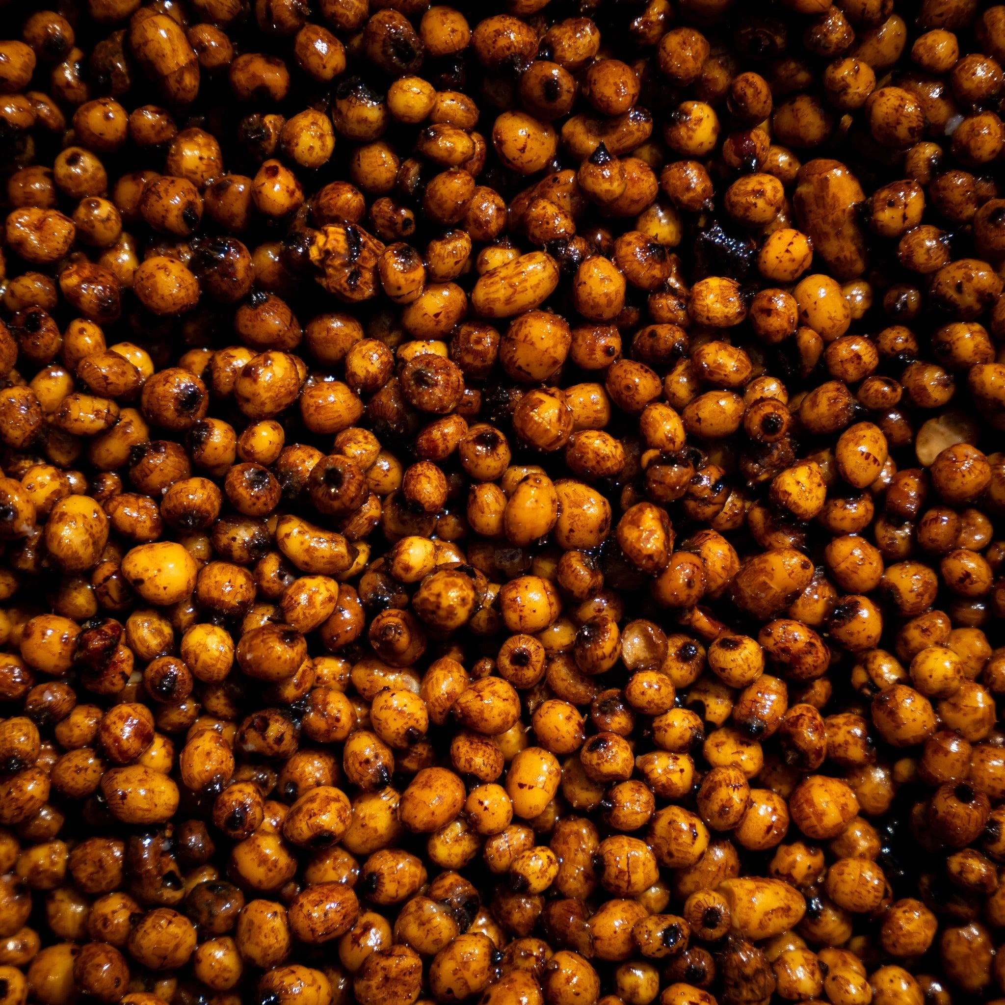 CARPCORN BOILED TIGER NUT READY 4kg TUBER FISHING GRAINS