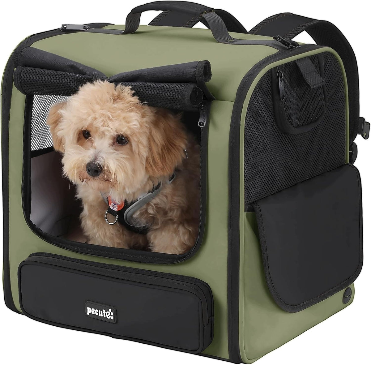 CARRIER BACKPACK PORTABLE FOR CAT DOG BREATHABLE GREEN