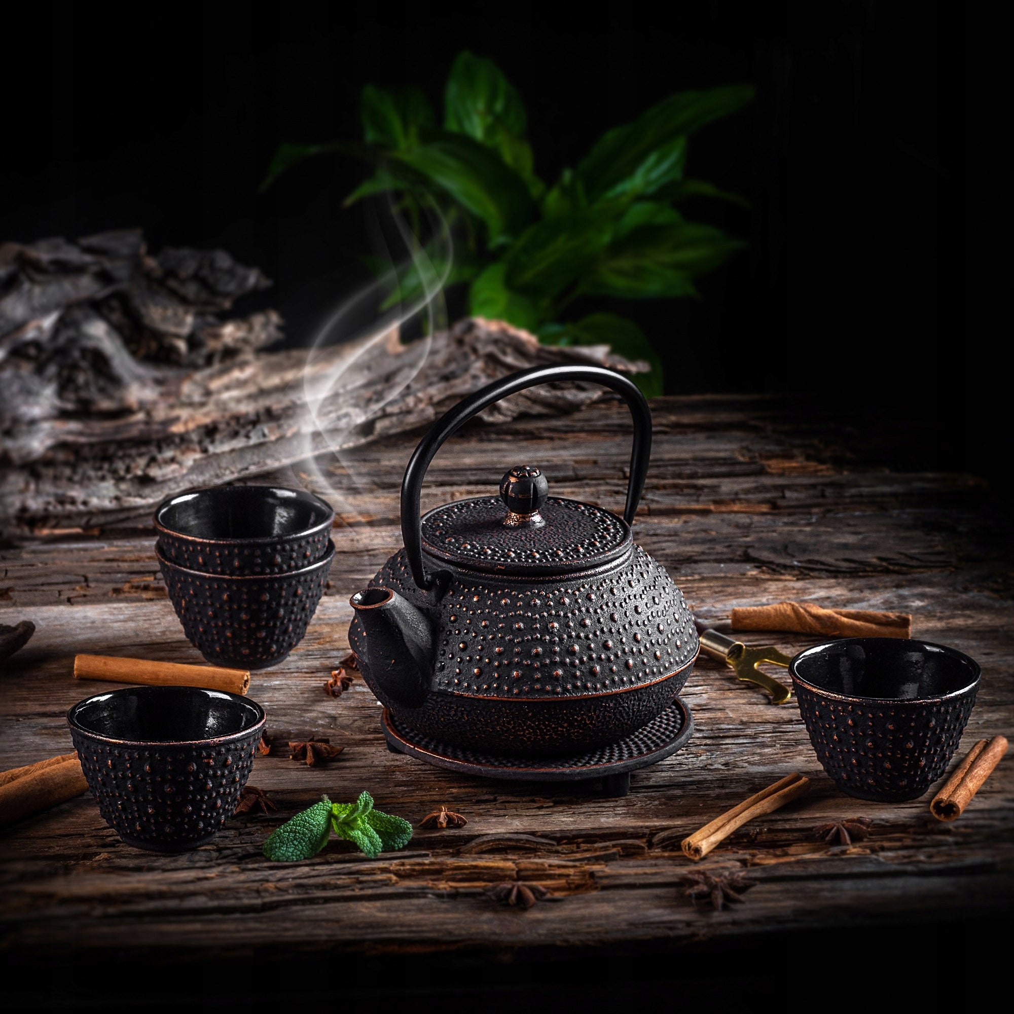 CAST IRON KETTLE ENAMEL TEA MAKER 800 ml 4 CUP BLACK GIFT Packaging status original