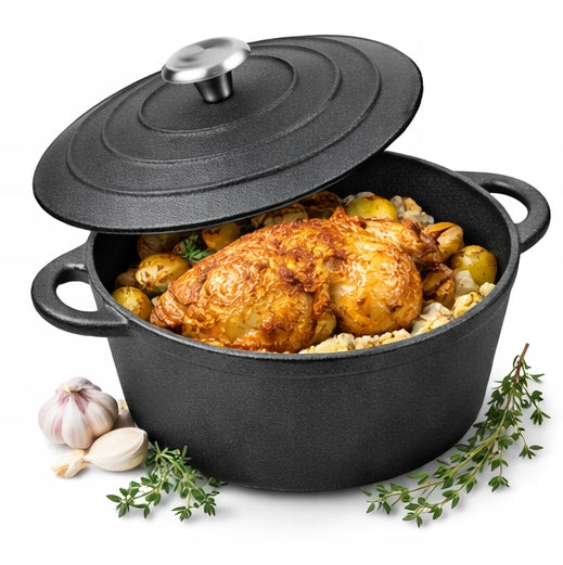 CAST IRON Pot 4,8 L for Baking Boiler PAN 26cm Induction Gas Packaging status original