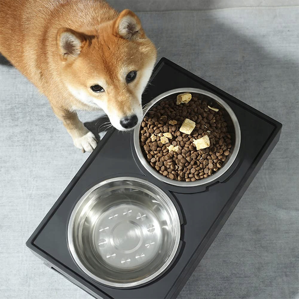 CAT DOG BOWL ELEVATED DOUBLE ON STAND 2x LARGE STAINLESS STEEL Manufacturer code dkivvbnt4