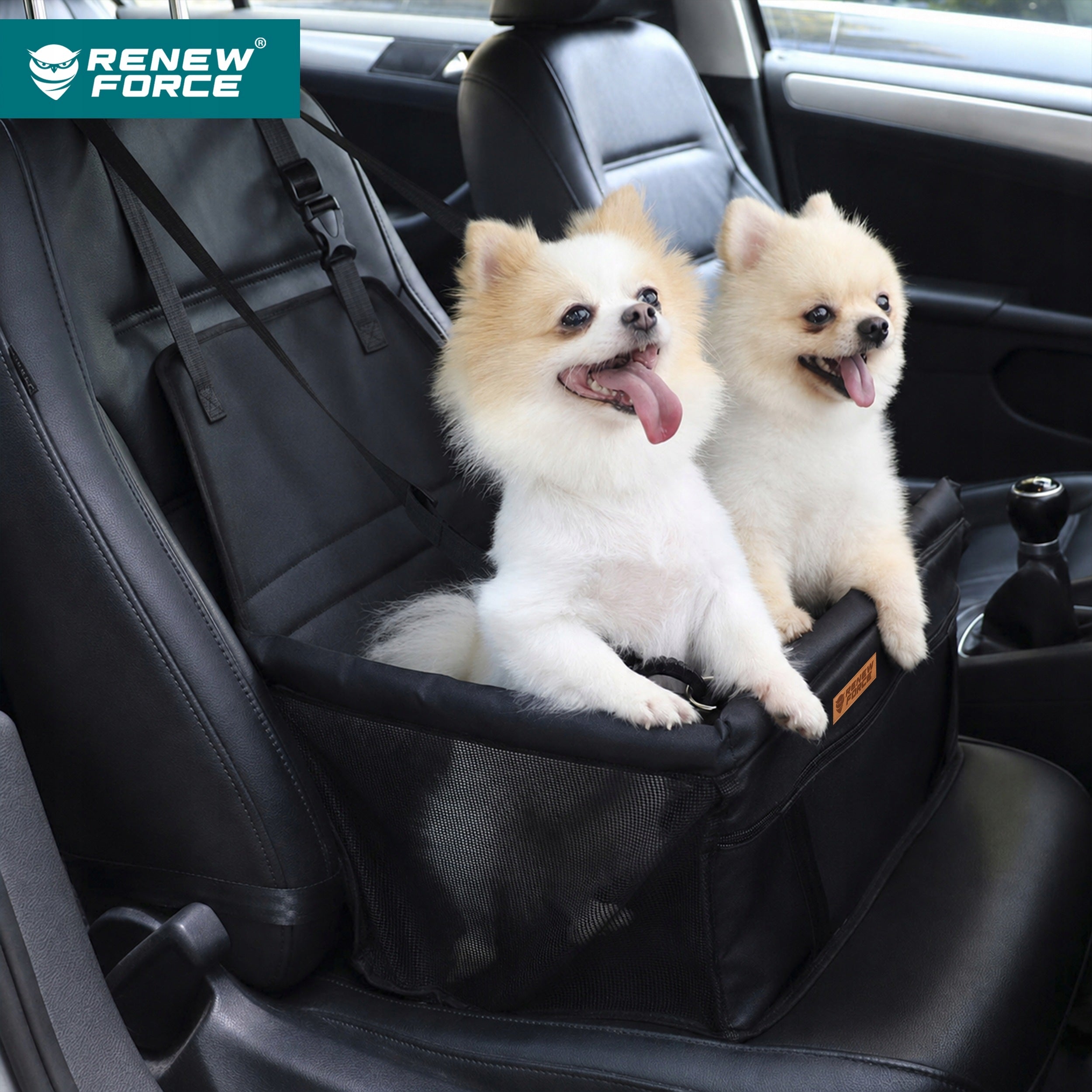 CAT DOG CAR SEAT TRANSPORTER SEAT WATERPROOF MAT Packaging status original