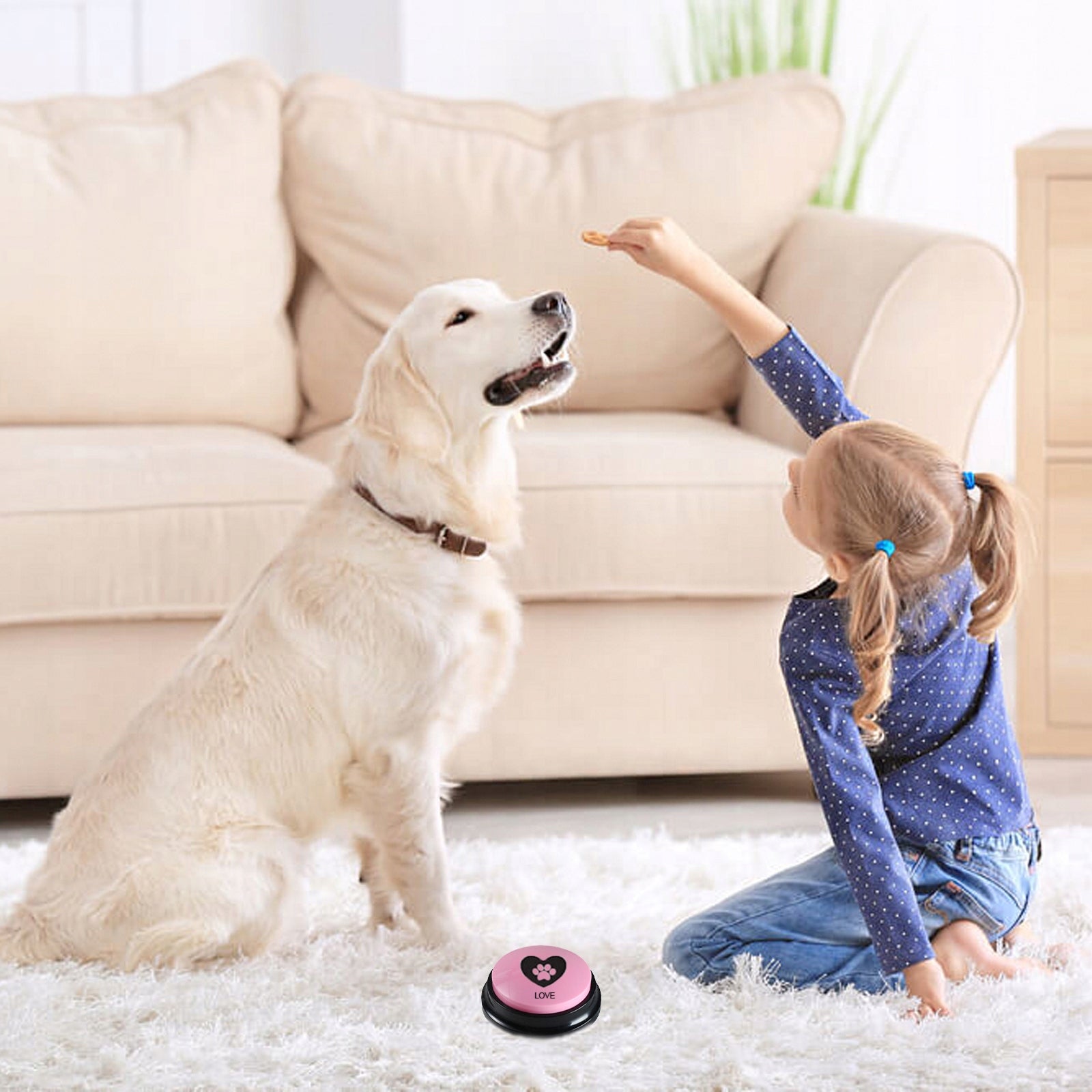 CAT DOG TRAINING BUTTON SOUND RECORDING BUTTONS LEARNING 4 PCS. Manufacturer code MPUJB2366