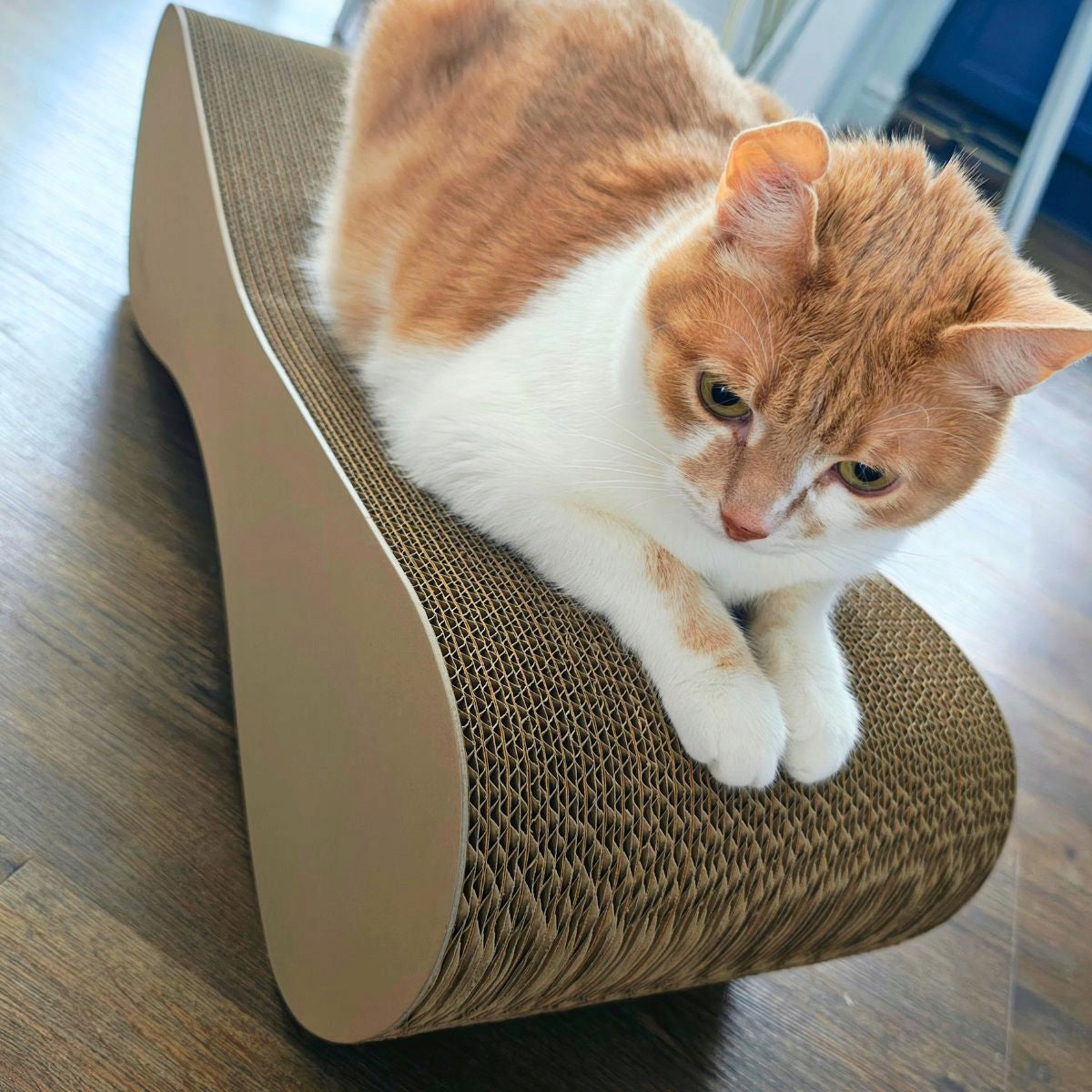 CAT SCRATCHER CARDBOARD LARGE 70x23x24 cm Mruu&Pruu Packaging status original