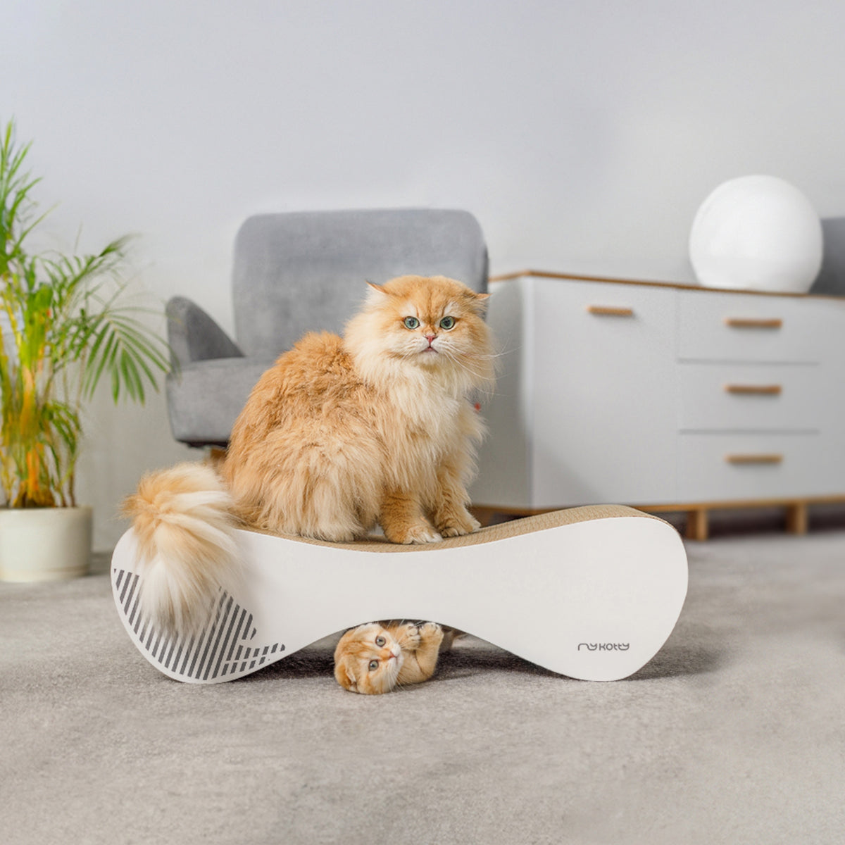 CAT SCRATCHER CARDBOARD LARGE BED 71x21x25 cm MYKOTTY Packaging status original