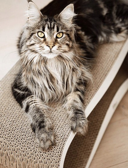 CAT SCRATCHER CARDBOARD LARGE BED 75x26x25 cm MYKOTTY Color white