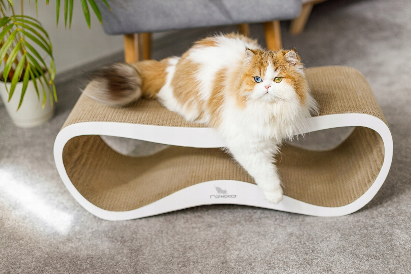 CAT SCRATCHER CARDBOARD LARGE BED 75x26x25 cm MYKOTTY Manufacturer code 10774