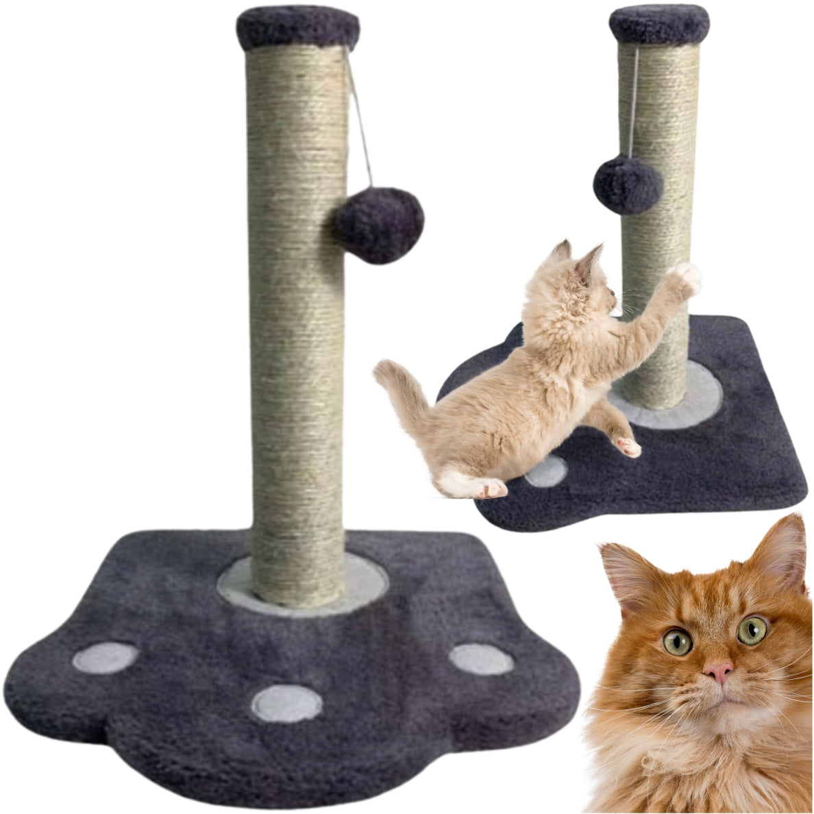 CAT SCRATCHER POST TOY