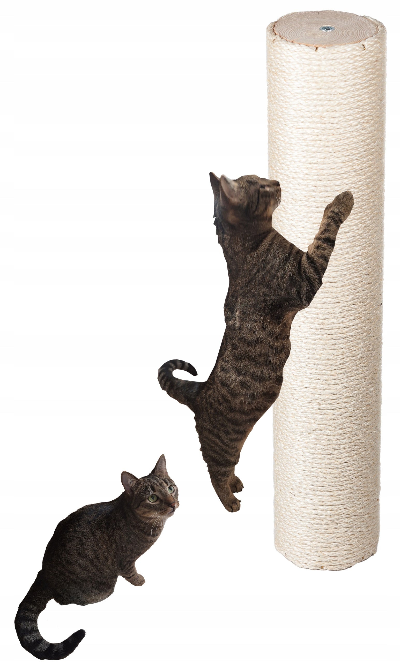 CAT SCRATCHER WOODEN ROLL TO SIZE POST 80 CM NATURAL ROPE 6MM