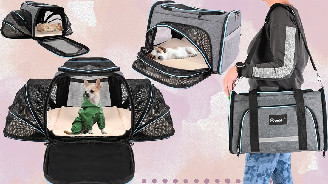 CAT TRANSPORTER FOLDING LARGE SOFT BED TRAVEL CAR COMFORTABLE Manufacturer code WO-956