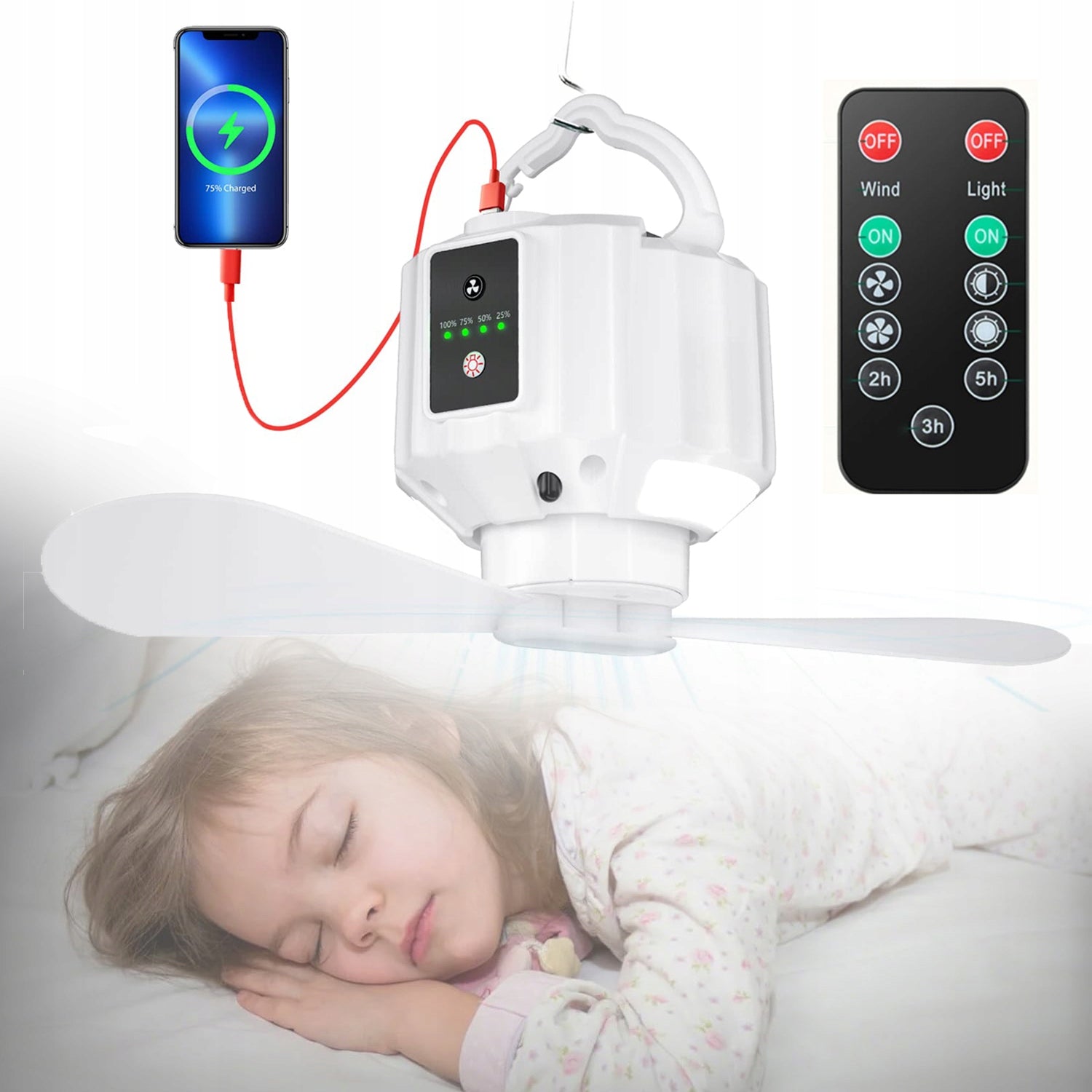 CEILING FAN WITH LIGHTING AND REMOTE CONTROL, FAN WITH 2-BLADE