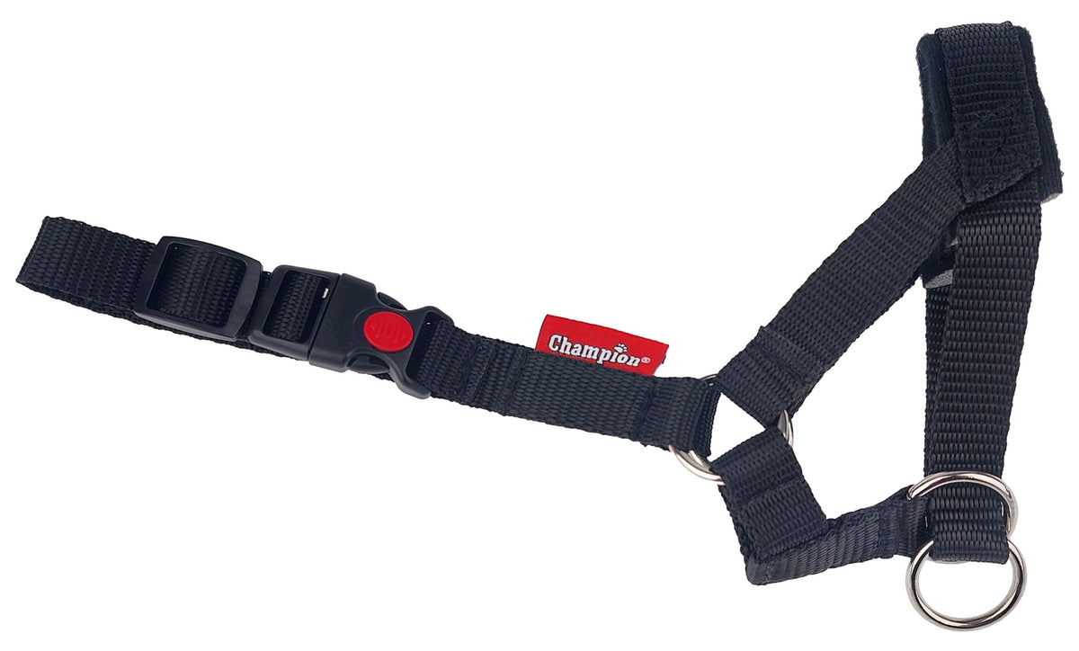 CHAMPION Cantar for Dog Collar Adjustable XL 32-38 cm Black "5" Packaging status original