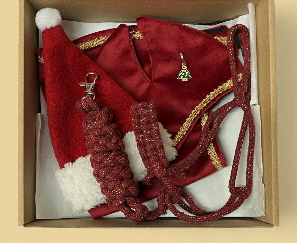 CHRISTMAS BOX WITH ACCESSORIES FOR HOBBY HORSE A4 - GOLD