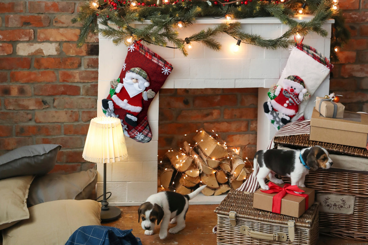 CHRISTMAS SOCKS FOR FIREPLACE SET CHRISTMAS SOCK FOR GIFTS LARGE Brand Allbag