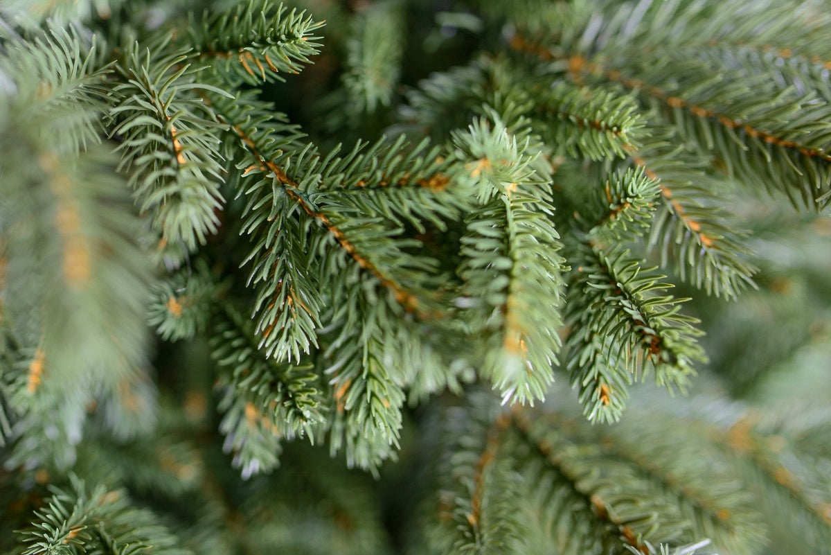 CHRISTMAS TREE ARTIFICIAL FIR PE ON NATURAL TRUNK EXCLUSIVE AS LIVING 150CM Manufacturer code 5906948395992