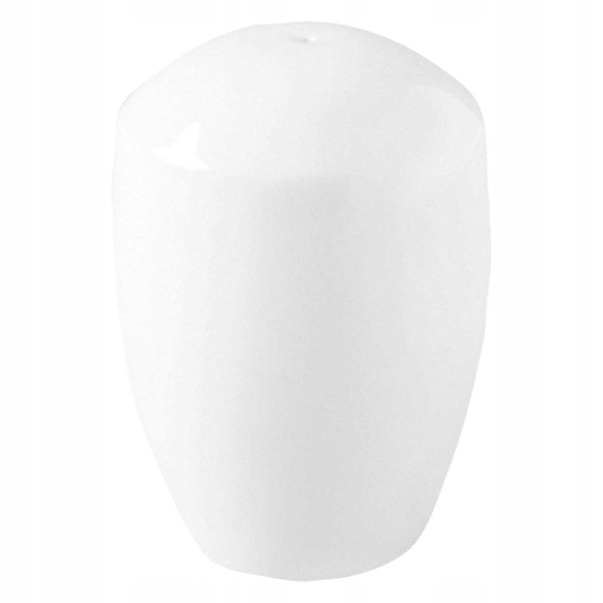 CLASSIC GOURMET Salt shaker RAK PORCELAIN