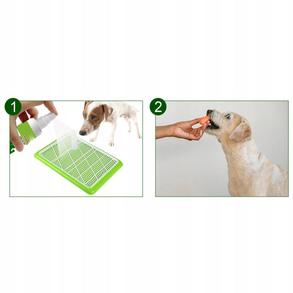 CLEANING LEARNING SPRAY FOR PUPPIES 30ML PORTABLE Manufacturer code 2110220