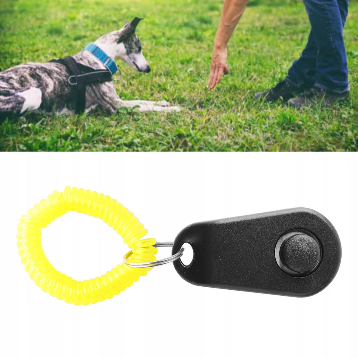 CLICKER FOR DOG CLICKER TRAINING Manufacturer code 2110230036312