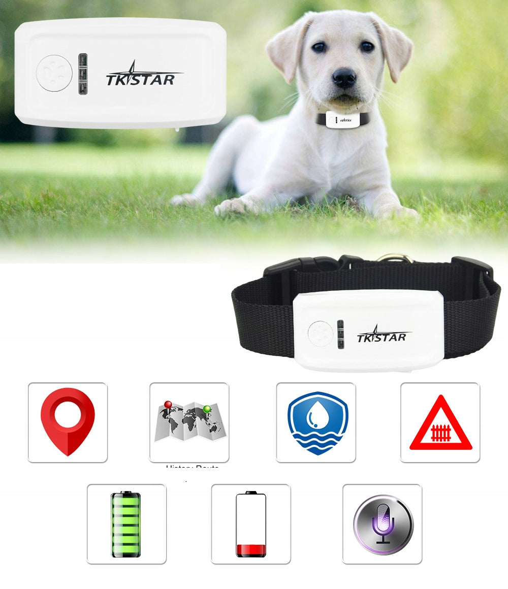 COLLAR LOCATOR GPS TK909 FOR PETS DOG CAT SAUCE APP WITHOUT SUBSCRIPTION Manufacturer code Lokalizator GPS dla zwierząt TK909