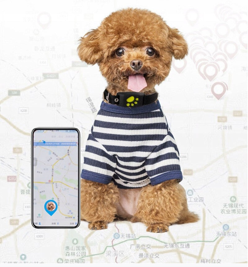 COLLAR LOCATOR GPS Z8 FOR ANIMALS DOG CAT APP Manufacturer code 34564445
