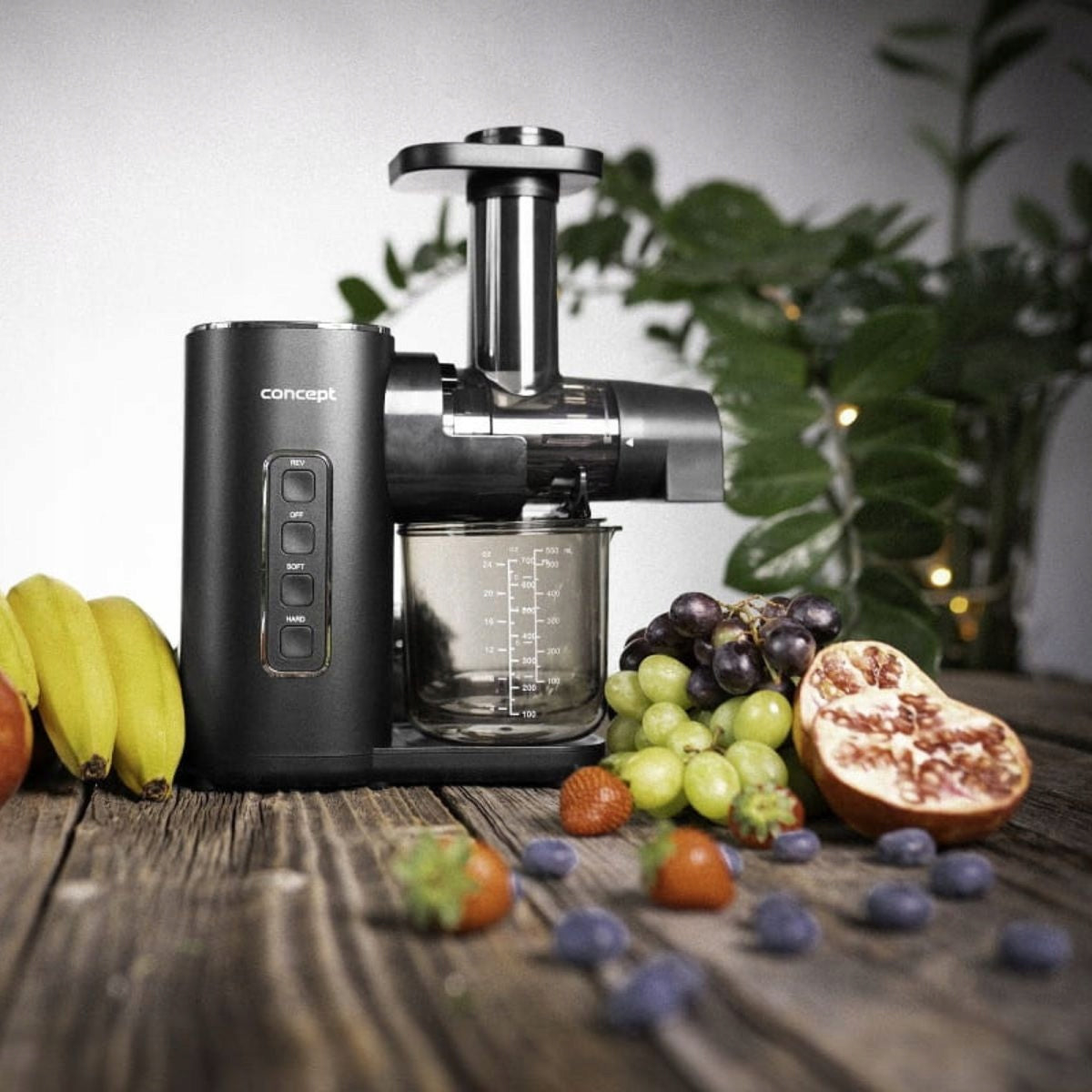 CONCEPT SLOW JUICER HORIZONTAL EASY CLEAN 150 W Dominant color black