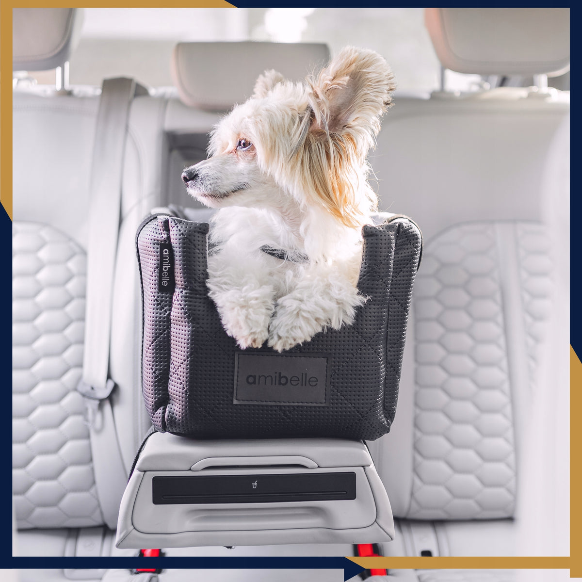 Car Seat Transporter Bed Cat Dog Bag Safe Manufacturer code 5903003209232