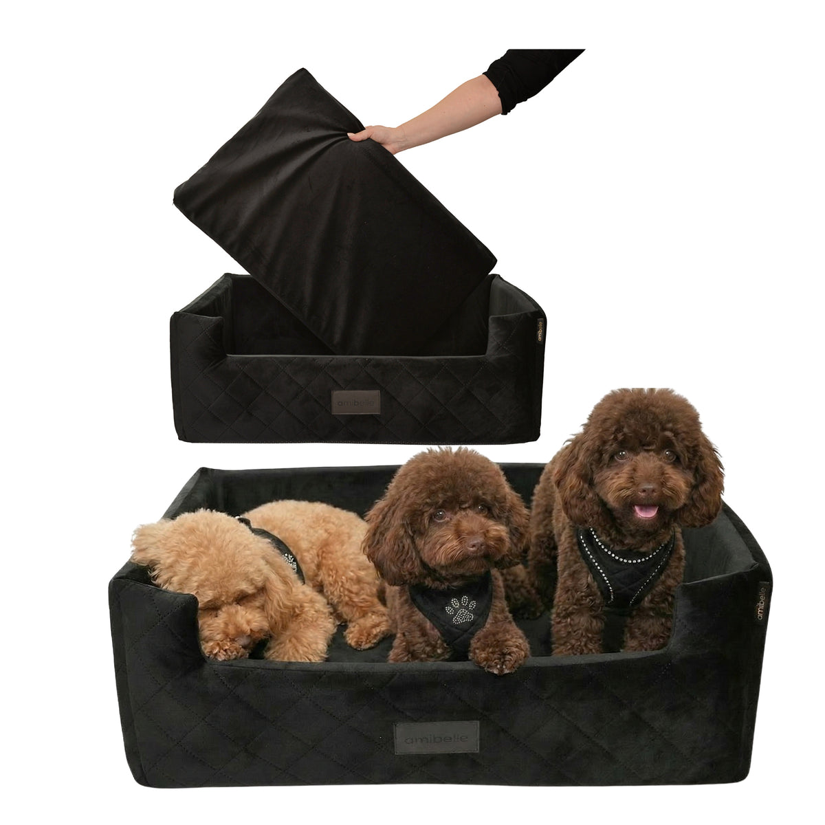 Car Seat for Dog Cat Bed Transporter Bag XL Large
