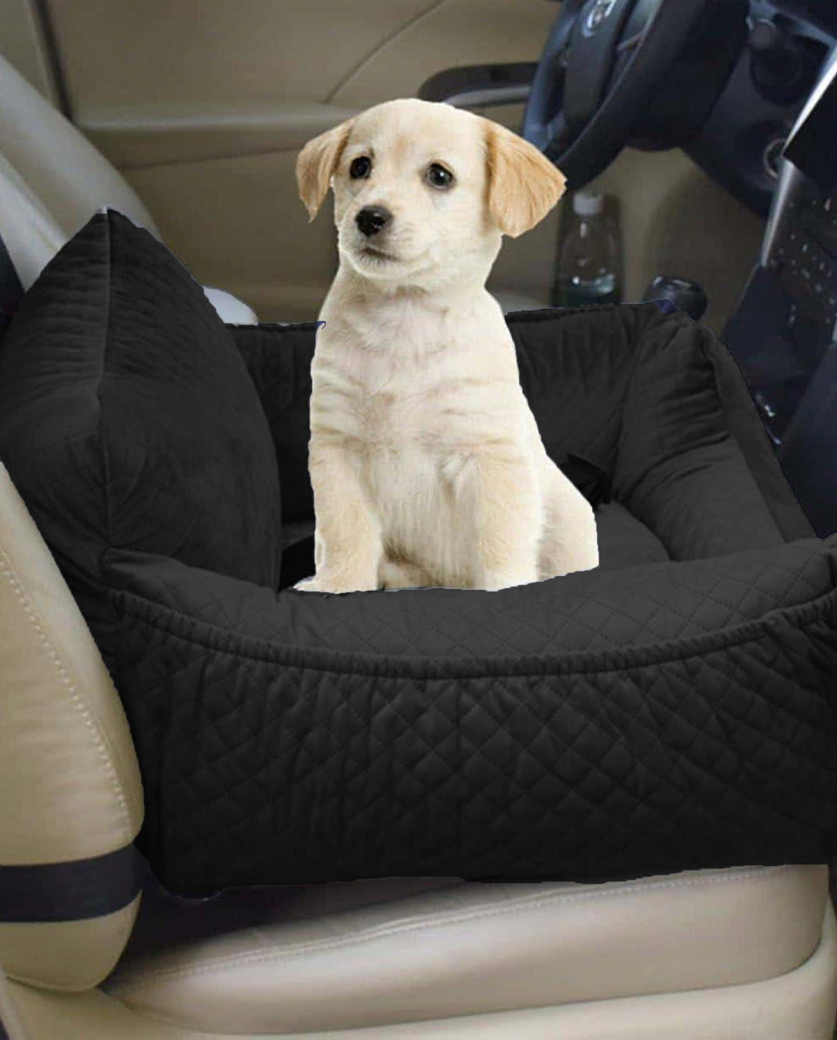 Car Seat for Dog Transporter Cat Bed with Clasp Fazoo XL Packaging status original