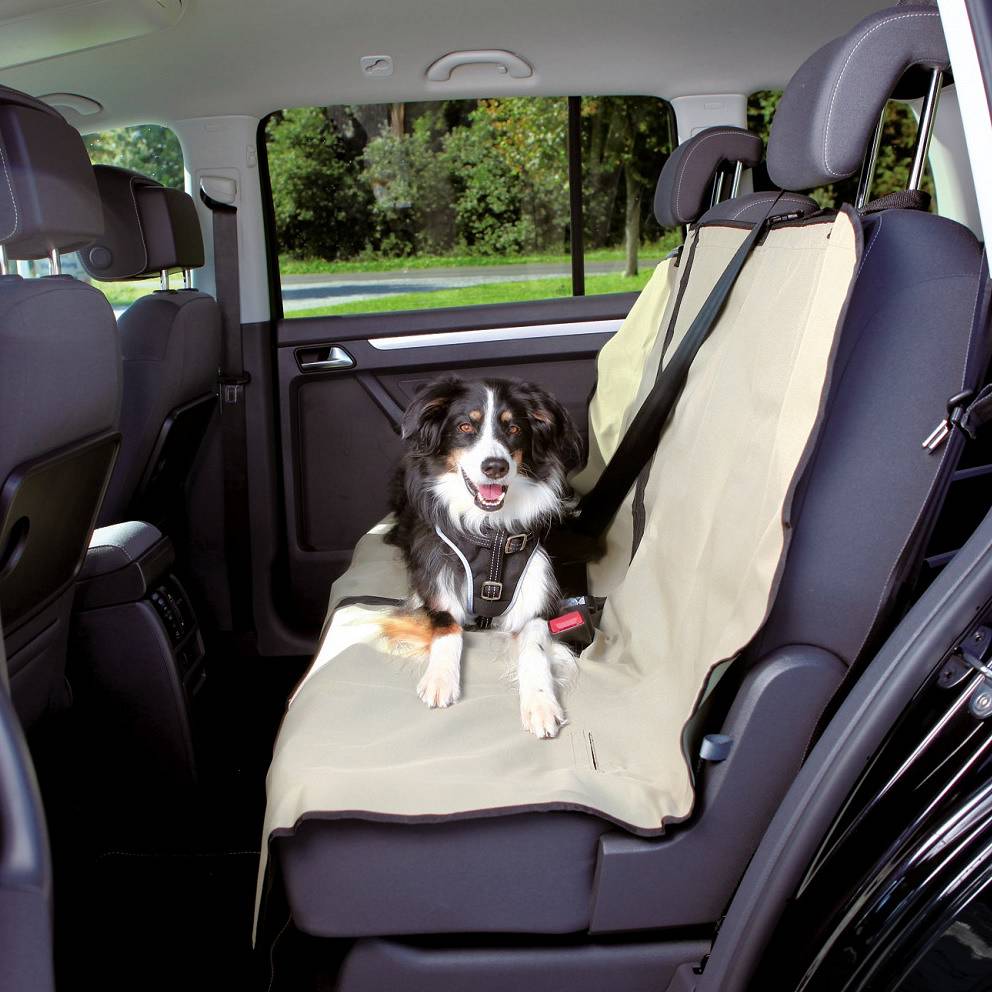 Car mat fabric L/XL Trixie beige 140 cm x 140 cm EAN (GTIN) 4011905132372