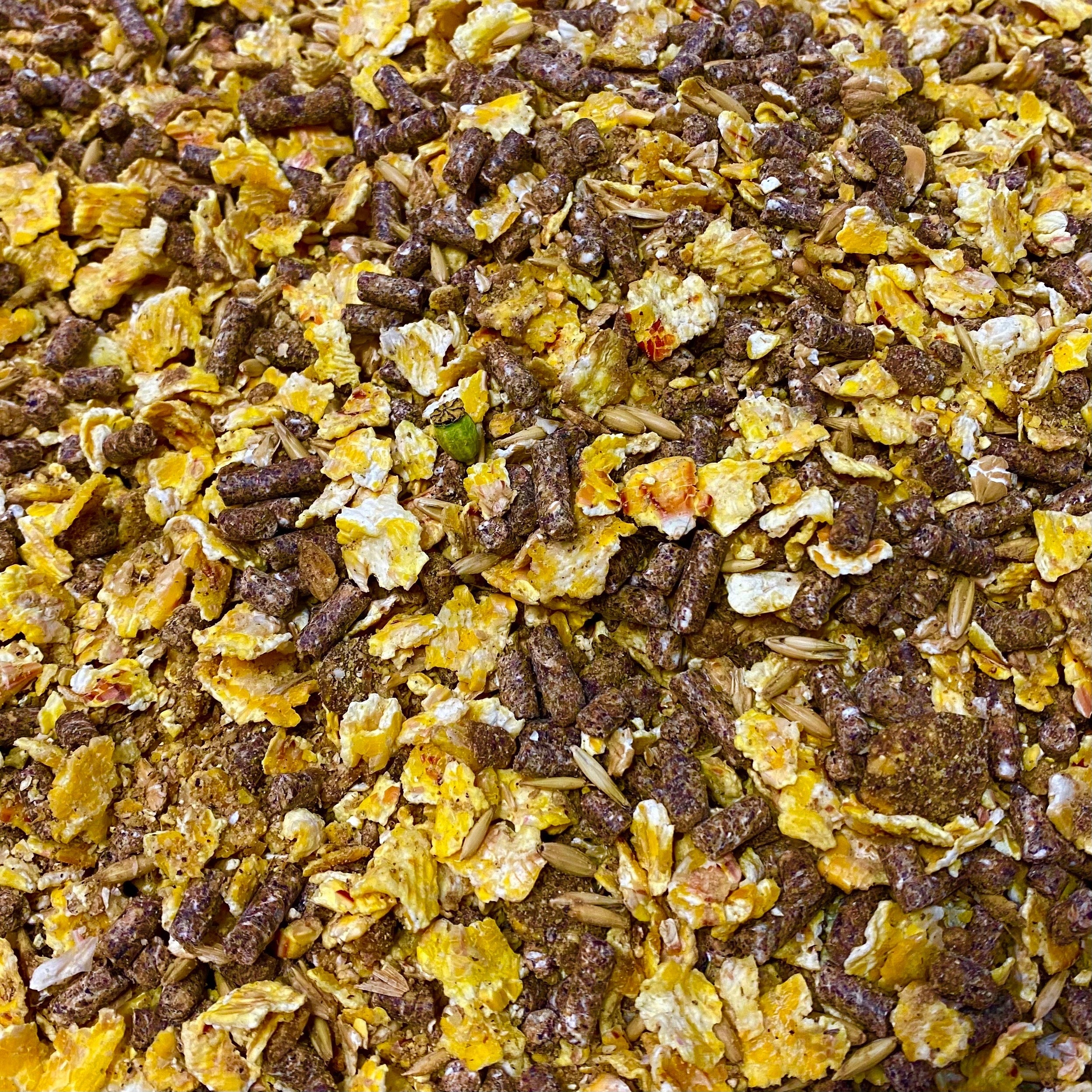 Carp Muesli Natural 5kg Wratislavia Baits, pellet, groundbait