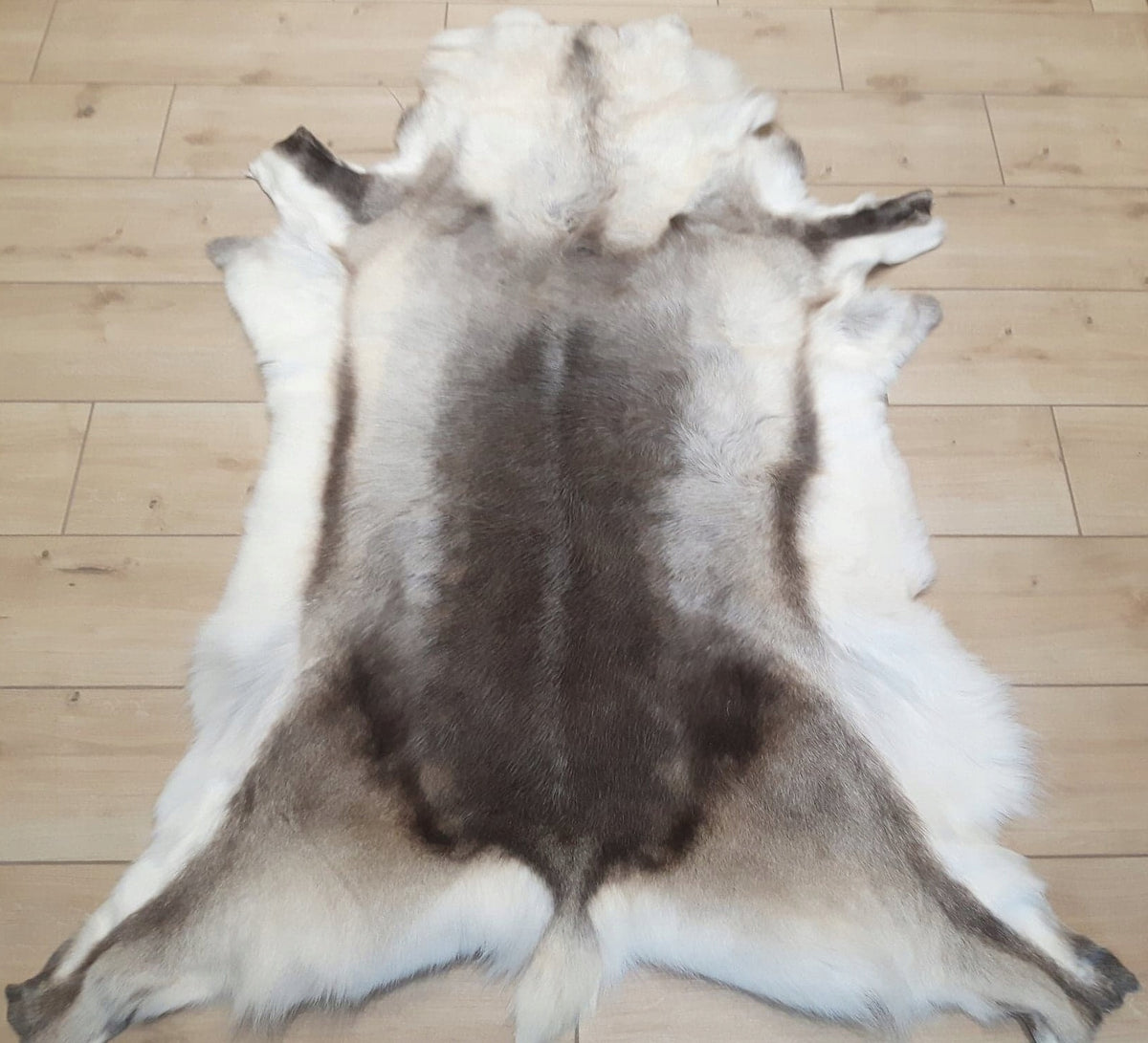 Carpet LEATHER WITH REINDEER EXCELLENT DECORATION Manufacturer code HUZIOR LEATHER