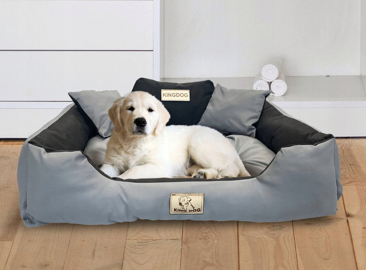 Cat Dog Bed Couch Playpen With Name S 55x45 cm Assorted Colors Manufacturer code Podajkolor