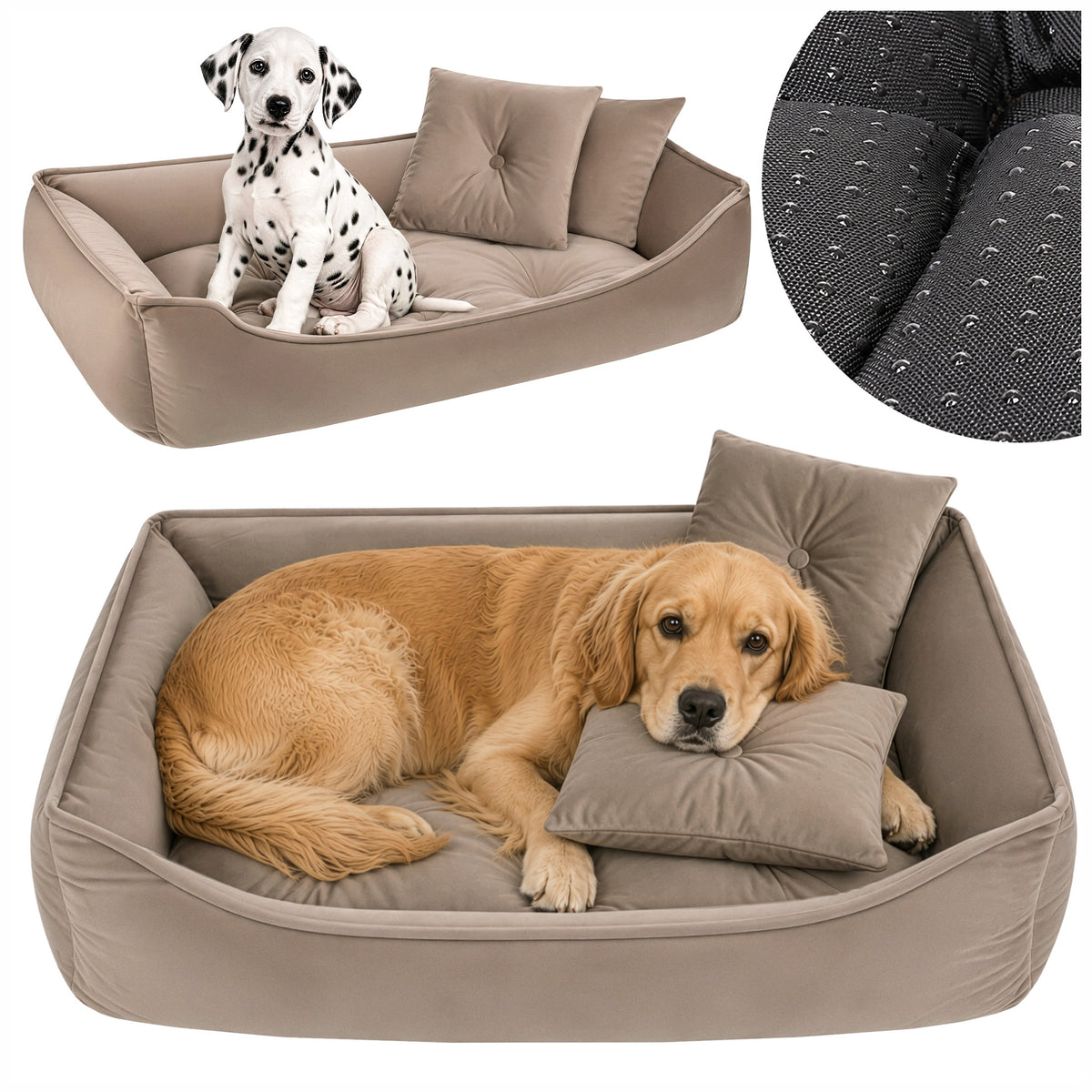 Cat Dog Bed Mattress 70x50cm Premium Mat + Pillows