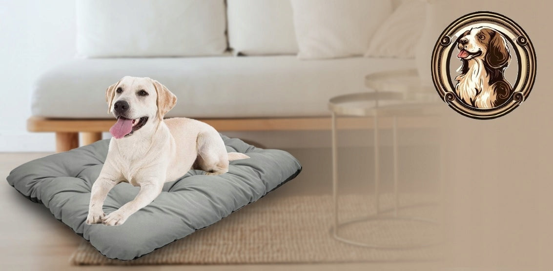 Cat Dog Bed Pillow Bed Waterproof 100x70 cm Assorted Colors Brand no brand