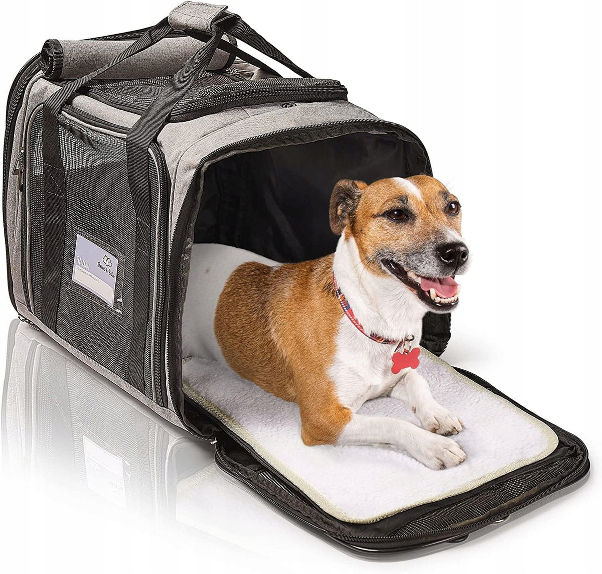 Cat Dog Transporter Up to 7kg Airplane Bag Lightweight Large with Mesh M